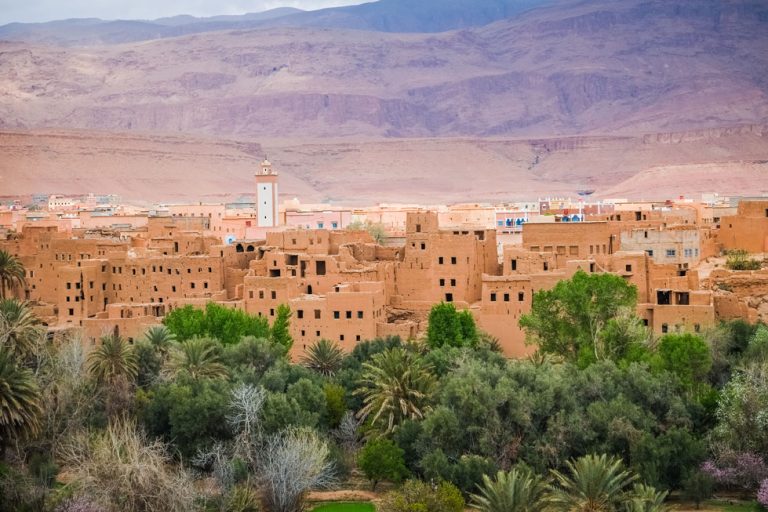 Helping Hands for Morocco | A Hotel Life