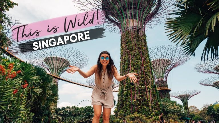 World’s most unique gardens! | Gardens By The Bay, Singapore